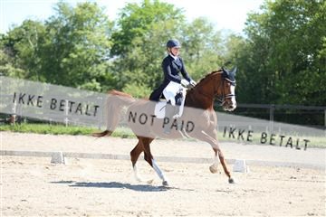 168732_mtp_01_3M5A7223.JPG