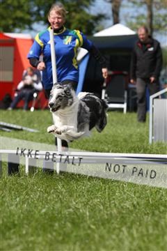 134871_ms_04_IMG_0128.JPG
