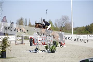 181332_kbb_01_6II3898.JPG