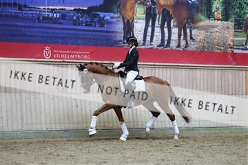 181887_mtp_02_R62_7773.JPG