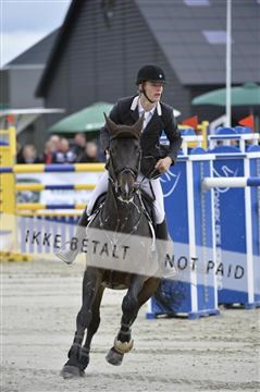 139644_abo_10__AB10776.JPG