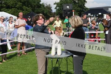 130370_se_02_IMG_6630.JPG