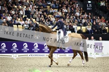 182194_avh_06_3459.JPG