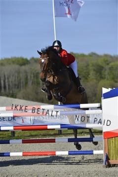 139644_abo_02__AB14869.JPG