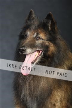 132082_le_ 01_IMG_0960.JPG