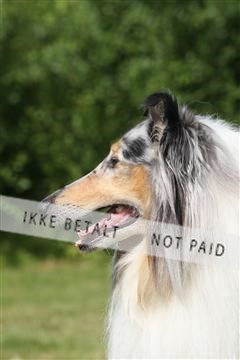 130370_se_03_IMG_7569.JPG