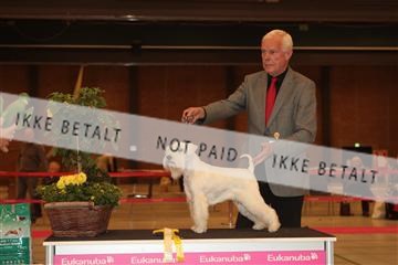 124188 _tl_02_IMG_9695.JPG