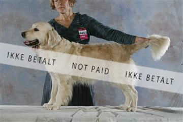 5493_sme _03__MG_9833.JPG