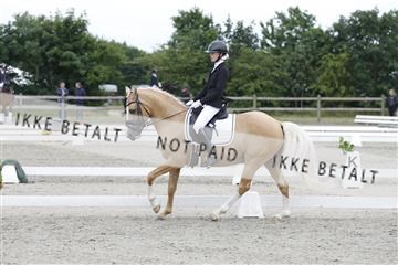 166078_rhj_01__J7R3593.JPG