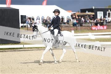 181894_mtp_05_R62_4099.JPG