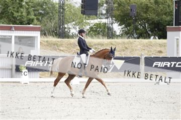 166078_rhj_01__J7R2358.JPG