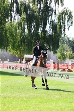 181805_mlm_02_R62_6653.JPG