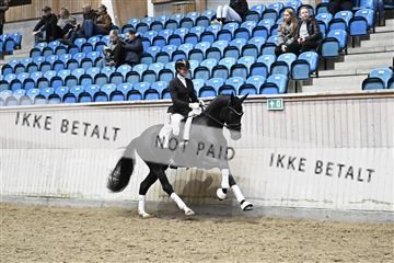182241_kbb_01_Z093948.JPG