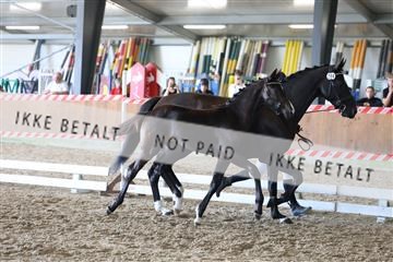 181756_mtp_03_R62_2377.JPG