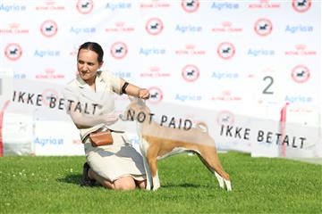 181564_rin_01_R62_0828.JPG