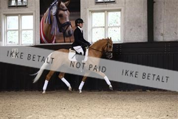 181243_avh_01_2059 (1).JPG