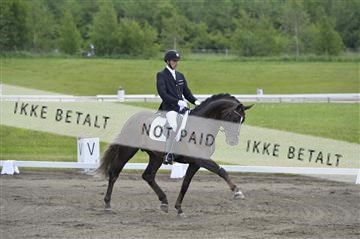 140040_abo_01__AB16123.JPG