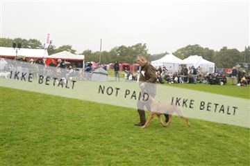 182009_kar_01__62_5631.JPG