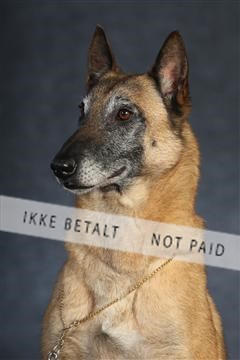 132082_le_ 01_IMG_0862.JPG