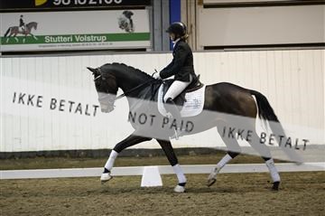 141472_abo_01__AB15898.JPG