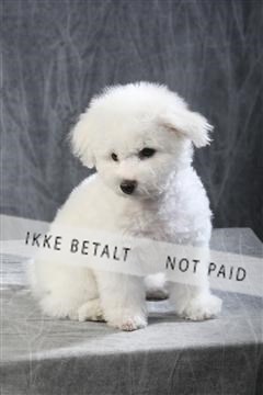 129608_le_ 01_0565.JPG