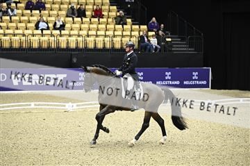 182194_kbb_02_Z098924.JPG