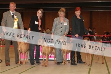 124188 _tl_02_IMG_9534.JPG