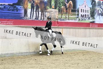 182241_kbb_01_Z094245.JPG