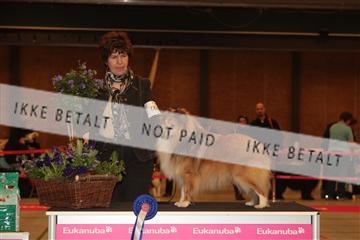 124188 _tl_02_IMG_9309.JPG