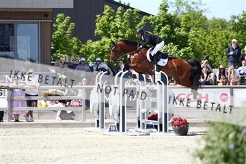 181436_avh_03_4754.JPG