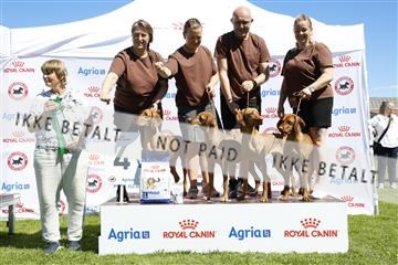 181564_ch_01__62_8845.JPG