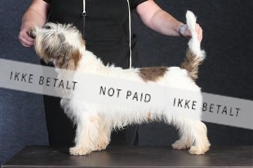 132082_le_ 01_IMG_0045.JPG