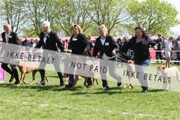 134871_ms_02_IMG_3326.JPG