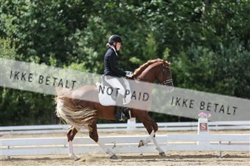 156196_nn_01_IMG_6331.JPG