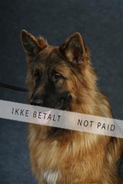 132082_le_ 01_IMG_0744.JPG