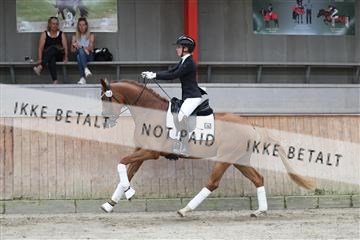 181867_mtp_02_R62_4417.JPG