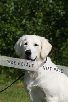 130370_se_03_IMG_6927.JPG