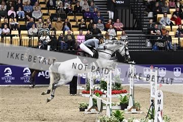 182194_kbb_02_Z099556.JPG
