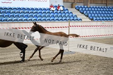 181754_kbb_01_Z093998.JPG