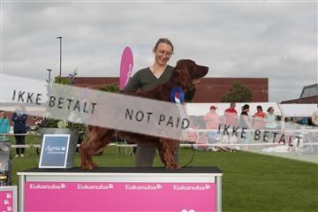 130370_tl_01_IMG_7434.JPG