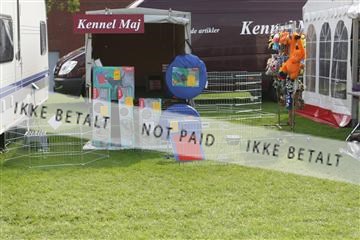 130370_le_03_IMG_8083.JPG