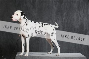 130054_le_ 03_0119.JPG