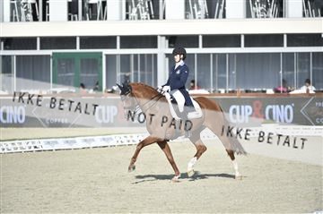 169586_kuo_05__D4S1064.JPG