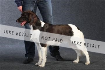 132082_le_ 01_IMG_1007.JPG