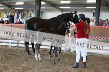 181756_mtp_03_R62_3081.JPG