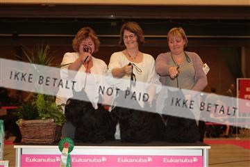 124188 _tl_02_IMG_9578.JPG