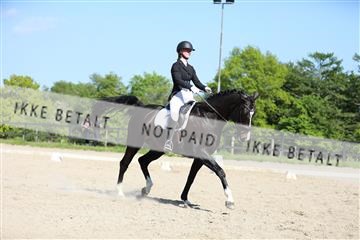 168732_mtp_01_3M5A8313.JPG