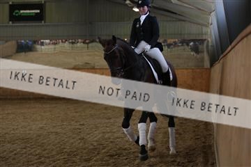 139206_kl_1_8M1Q5446.JPG