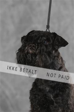 130054_le_ 03_0264.JPG