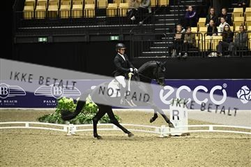 182194_kbb_01_Z096422.JPG